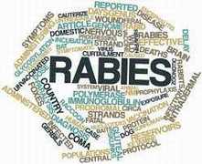 Rabies Information